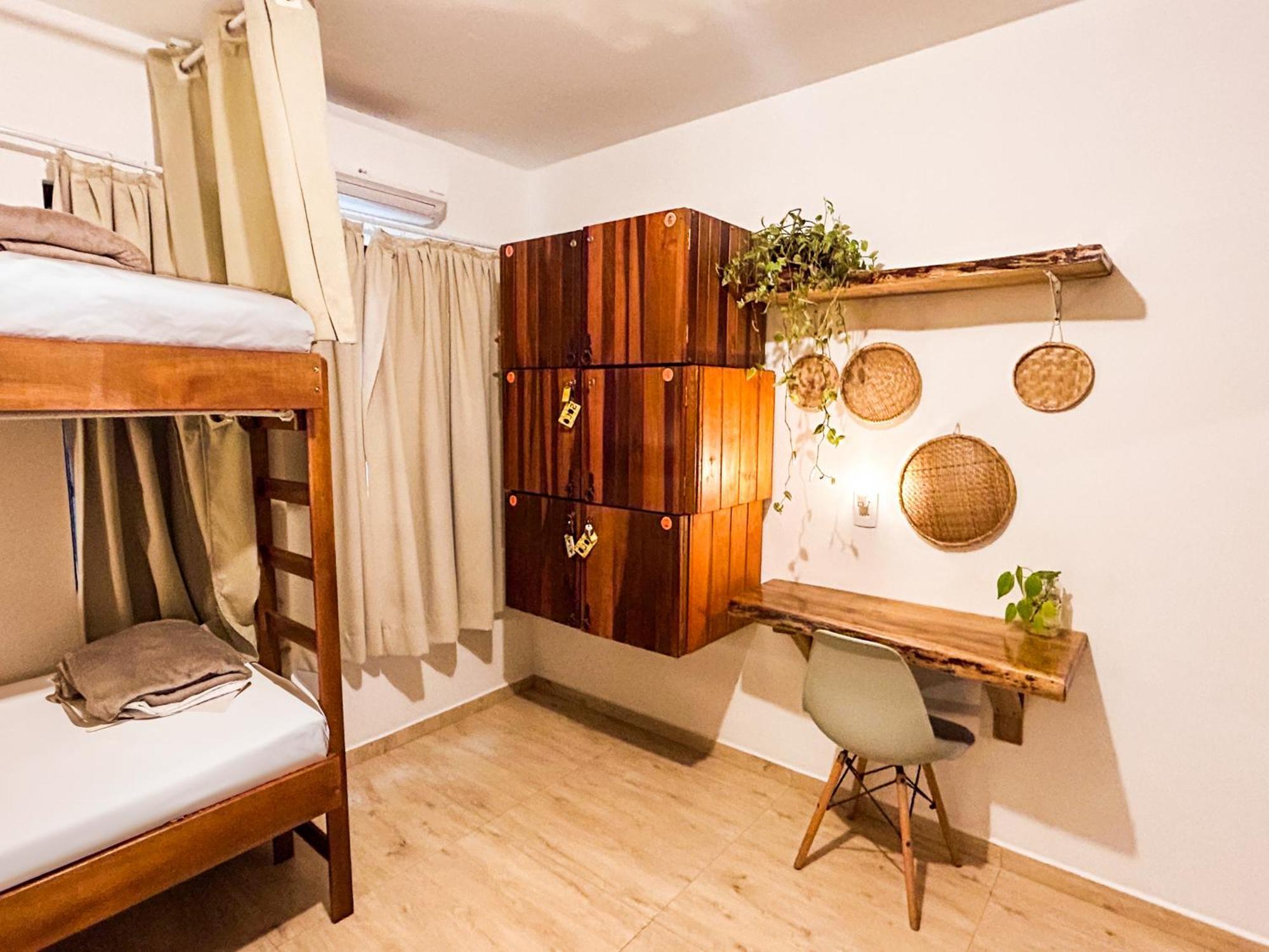 Babitonga Hostel - 100M Da Prainha Сан-Франсиску-ду-Сул Экстерьер фото